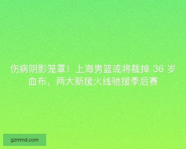 伤病阴影笼罩！上海男篮或将裁掉 36 岁血布，两大新援火线驰援季后赛