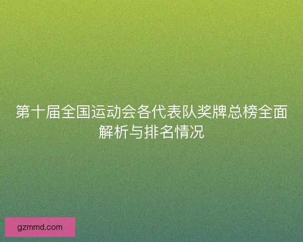 第十届全国运动会各代表队奖牌总榜全面解析与排名情况